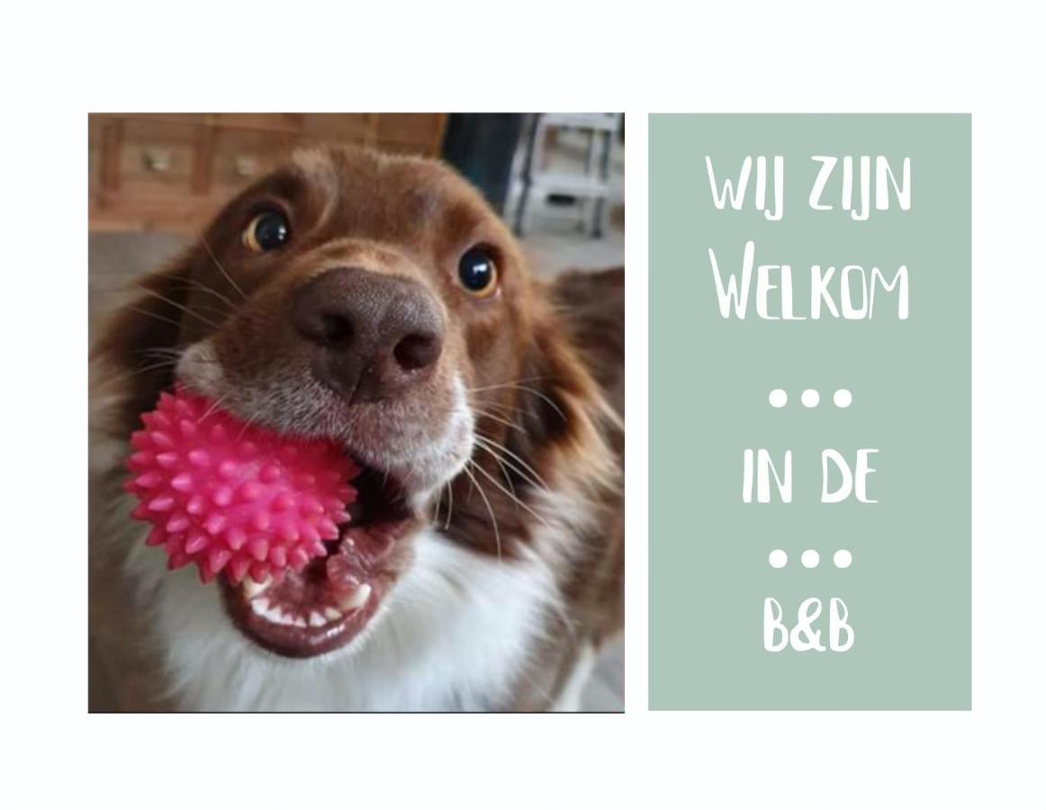 B&B Het Gelders Buitenleven Overasselt 외부 사진