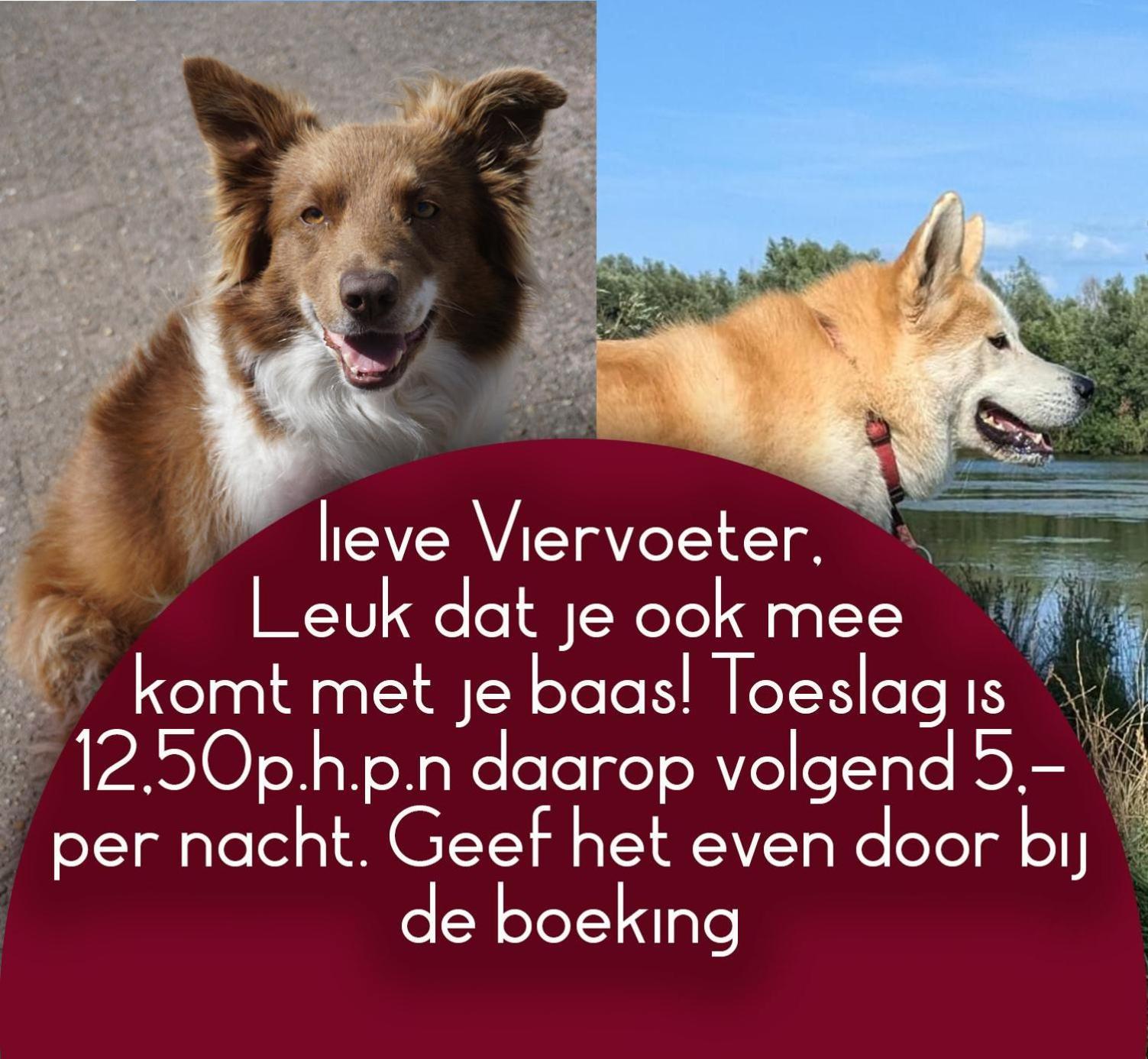 B&B Het Gelders Buitenleven Overasselt 외부 사진
